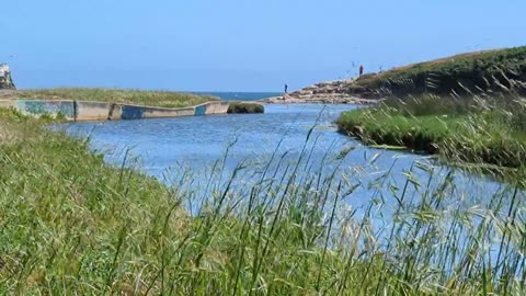 Water flows to the sea