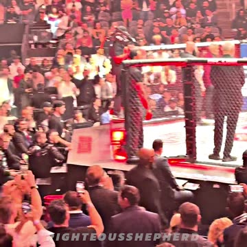 The TATE Brothers Enjoy UFC 313