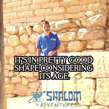 Why This Biblical Tree Still Inspires Faith Today