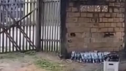 Disputa de dança entre idosos
