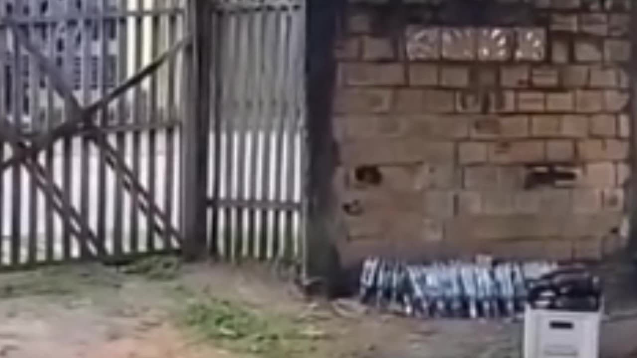 Disputa de dança entre idosos