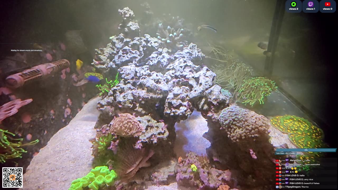 24/7 Real Live Reef Stream