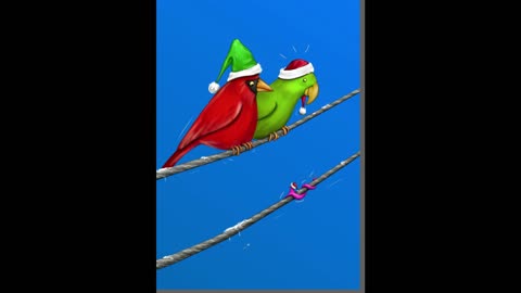 Christmas Festive Season