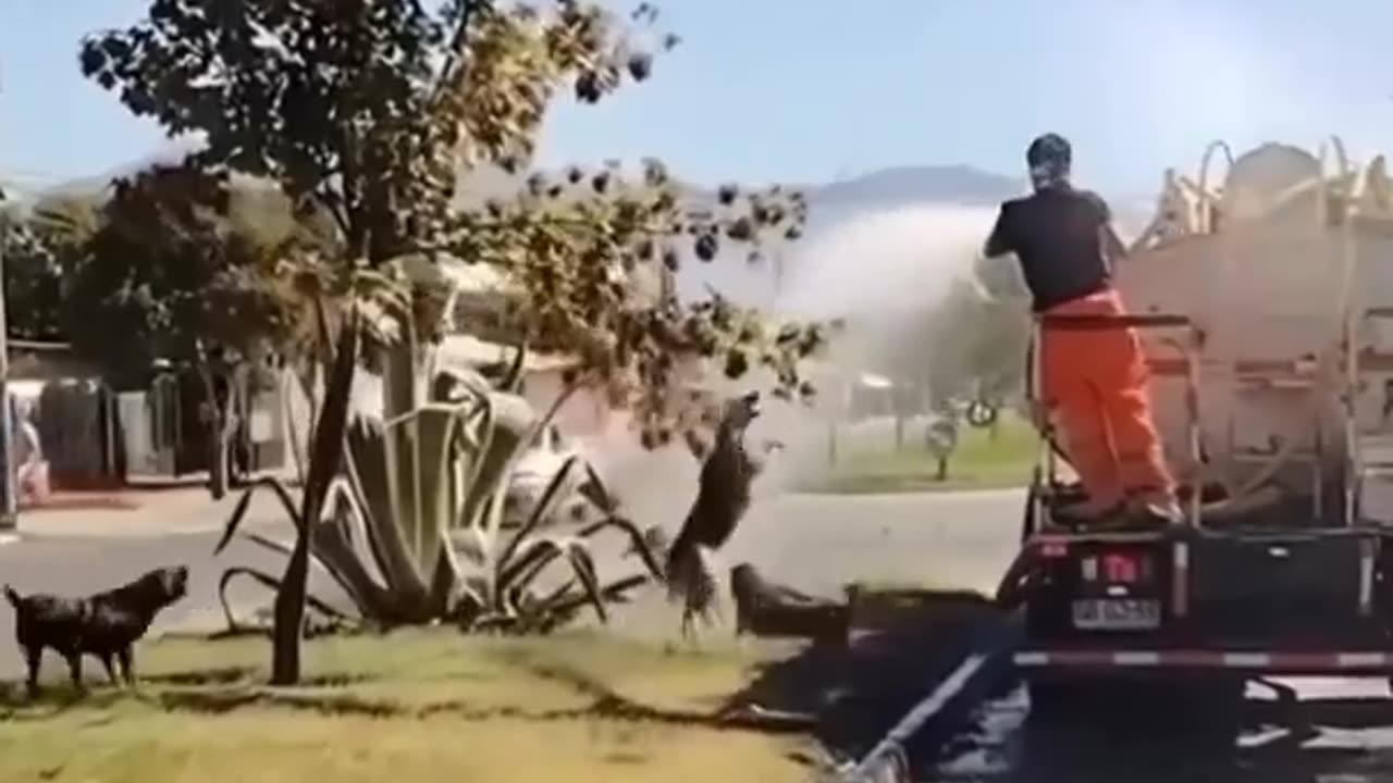 Happiness isn’t just a mood