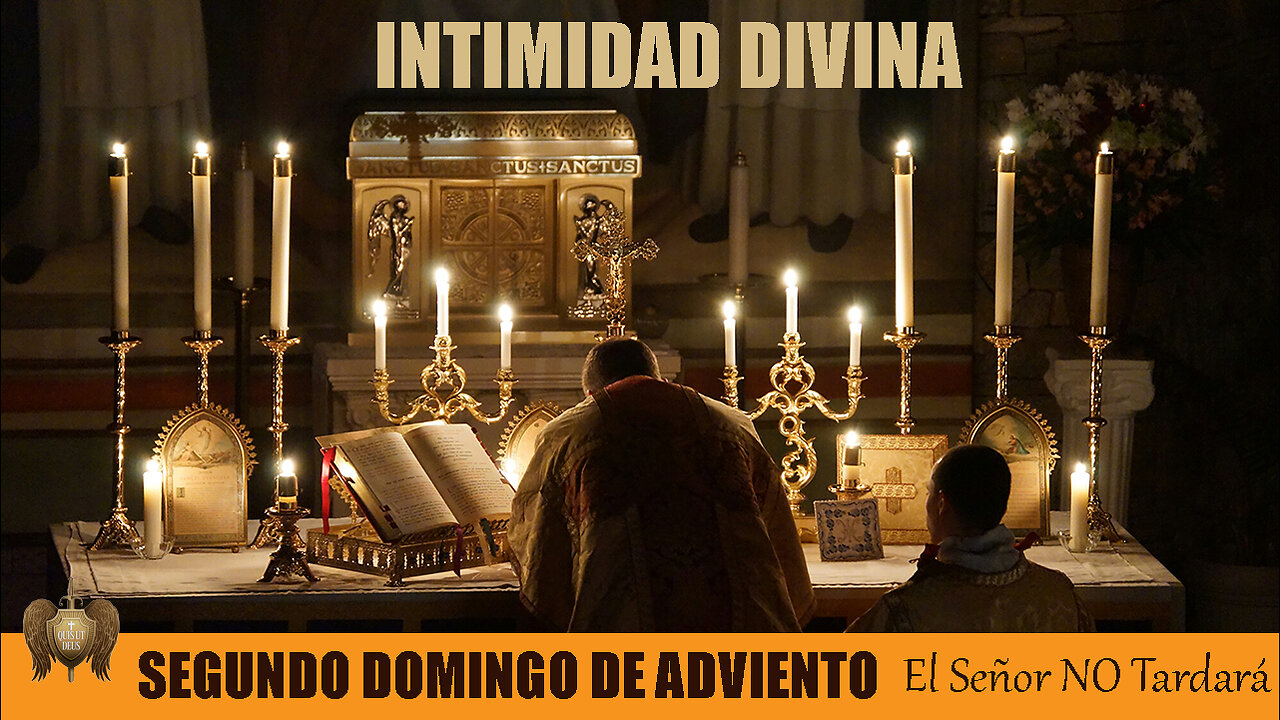 SEGUNDO DOMINGO DE ADVIENTO