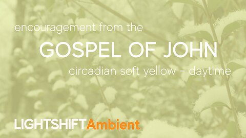 Gospel of John - Bible Verse Encouragement - Circadian Soft Yellow - Daylight | LIGHTSHIFT Ambient