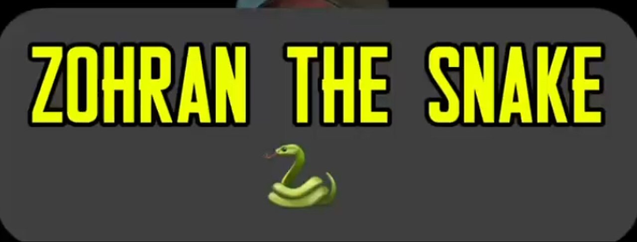 🚨 Zohran The Snake 🐍 😳 #ASL #deaf #signlanguage