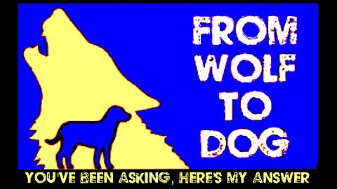 YOU'VE BEEN ASKING, HERE'S MY ANSWER...