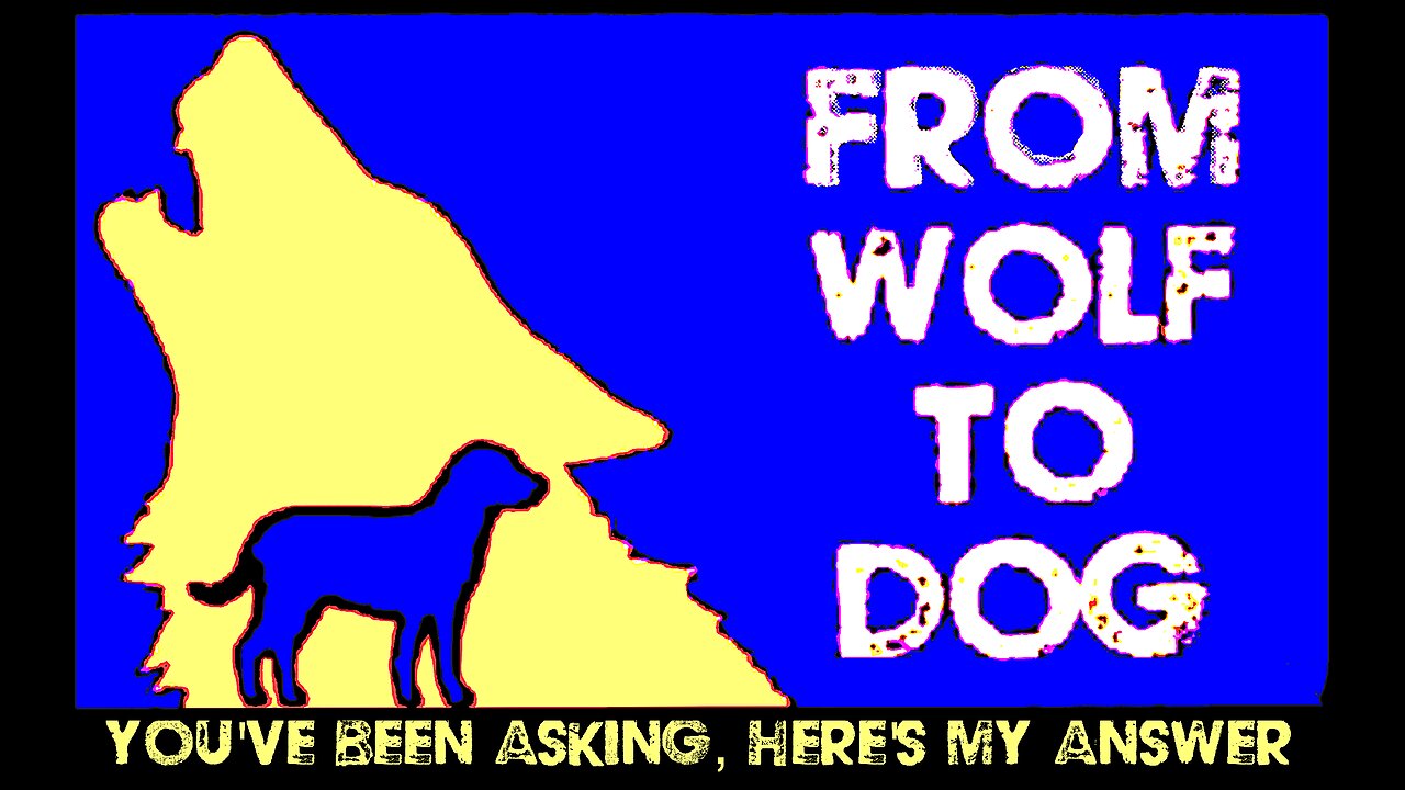 YOU'VE BEEN ASKING, HERE'S MY ANSWER...
