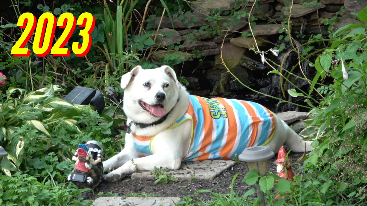 AUNT LISA’S BARBIE BIRTHDAY (PART 3)