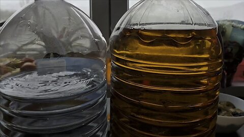 Chalga party international 2017-2026/Обзор на Българското ежедневие от 02/01/2026