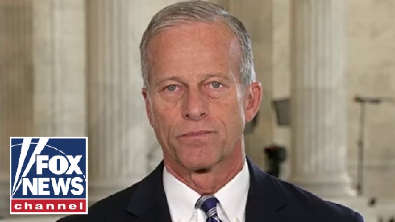 Sen Thune issues BOLD warning to Dems on shutdown: Will 'cost them'