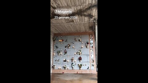 che succede a Magenta?