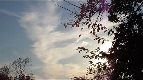 on the chemtrail line 11/1/25