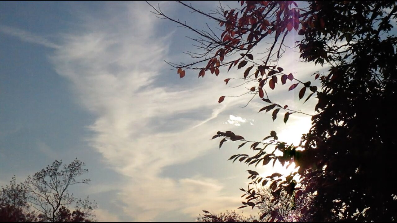 on the chemtrail line 11/1/25