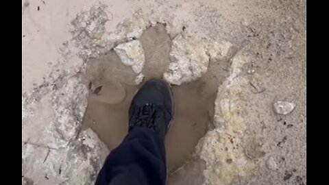 Fossil Footprints