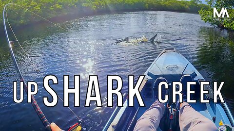 Snook, Sharks and Gators, Oh My...!