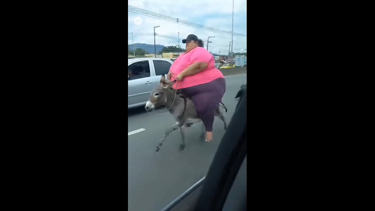 funny 😂🤣 videos