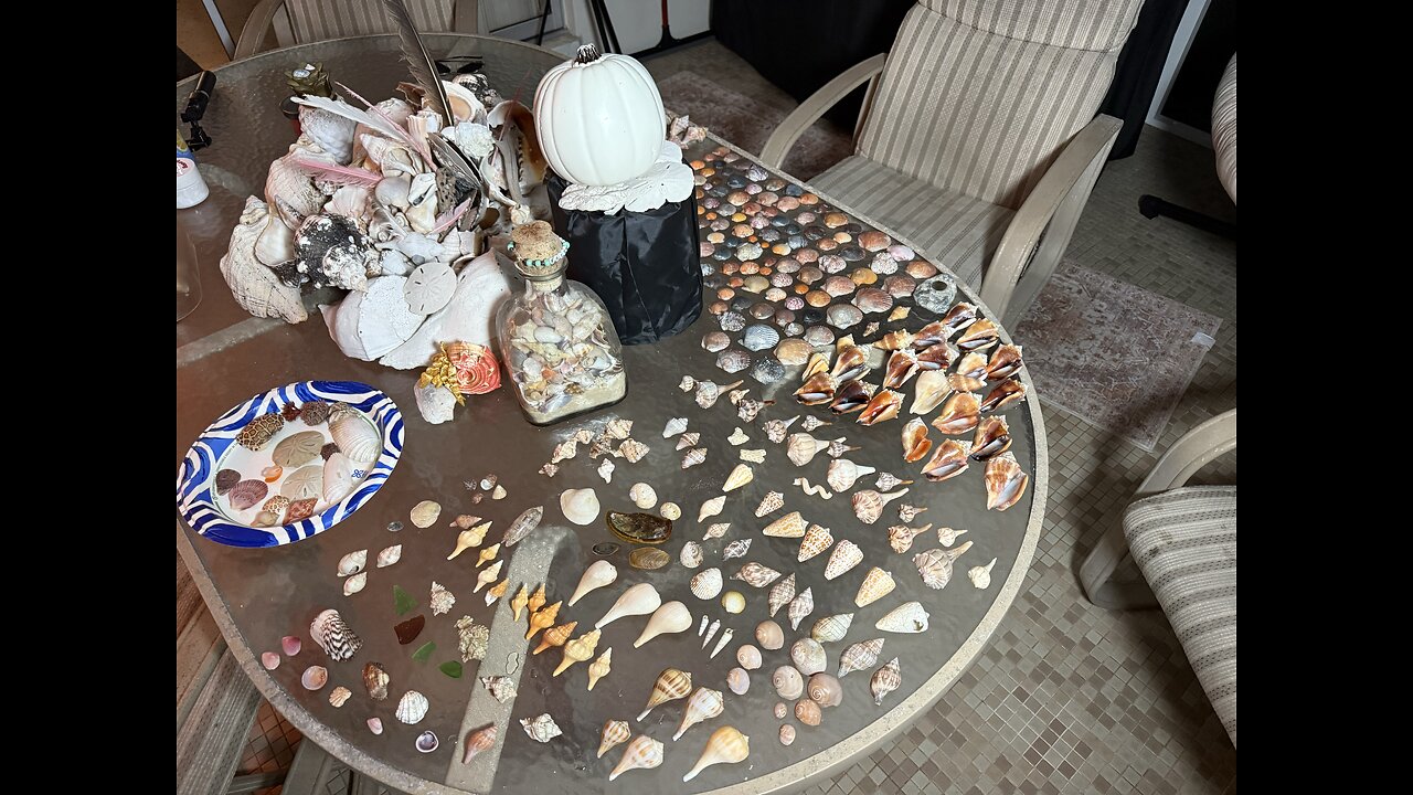 Beach Finds 11/13/2025 | 4K