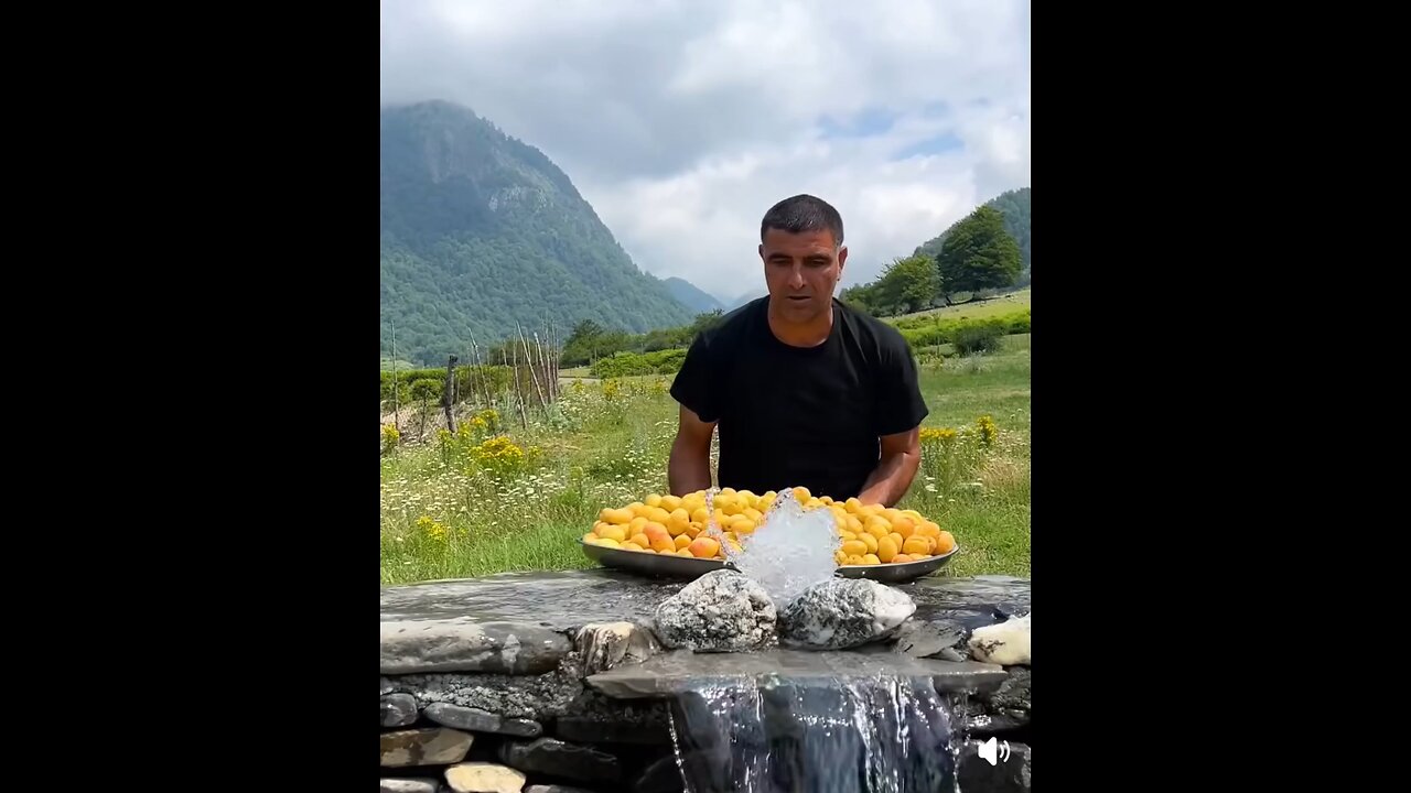 🌴🌳🍊🍊