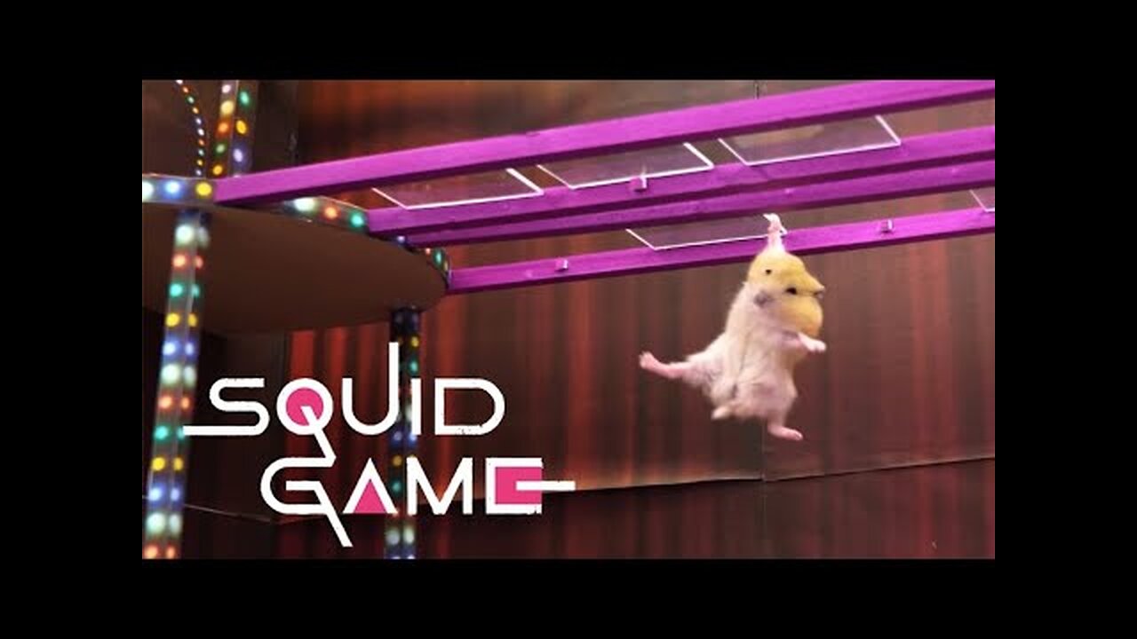 Squid Game vs Hamsterious_ All Amazing Challenge