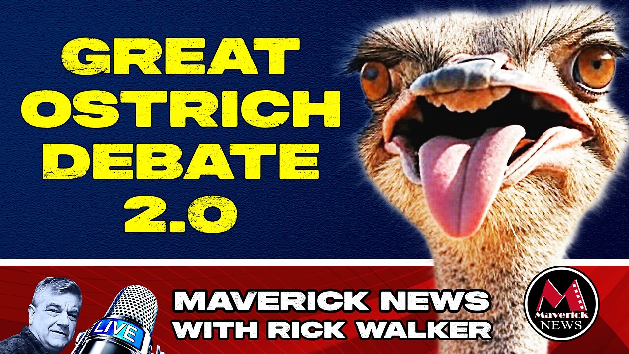 Universal Ostrich Farm Cull Debate 2.0 (Call In Show)