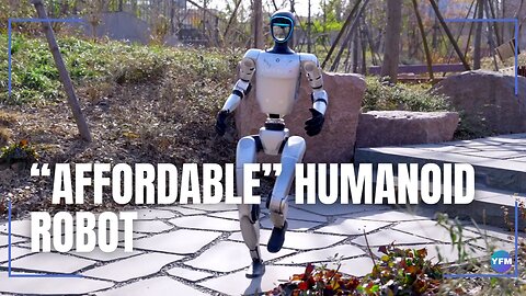 “Affordable” humanoid robot