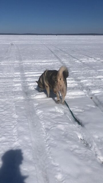 Monday February 24, God spoke many times in many ways.