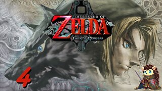 Lost Children & Kakariko Tears of Light - The Legend of Zelda: Twilight Princess GameCube [4]
