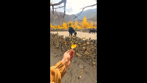 Beautiful Autumn 🍁 season in Gilgit Baltistan Pakistan 🇵🇰