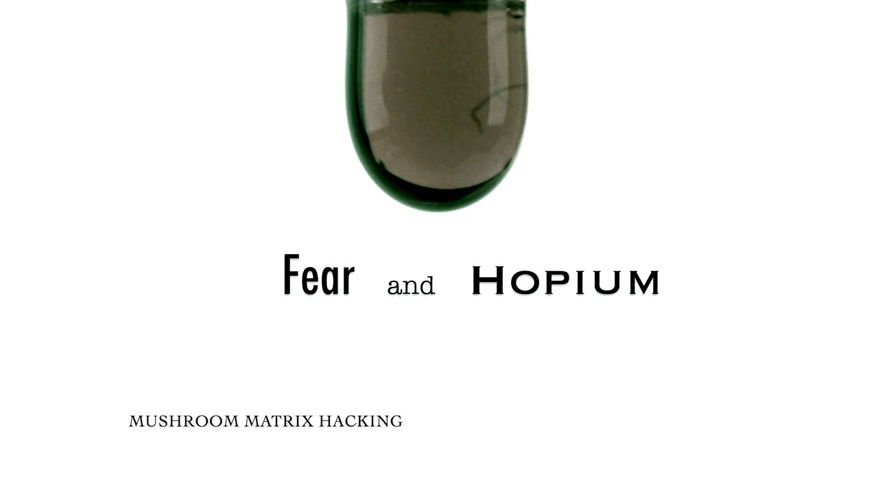 Fear and Hopium: E07 - Mushroom Matrix Hacking