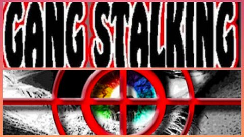 GANGSTALKING 101 - THE DARK SIDE OF THE INTERNET AND GOVERNMENT | DON'T GET CAUGHT IN MY CROSSHAIRS!