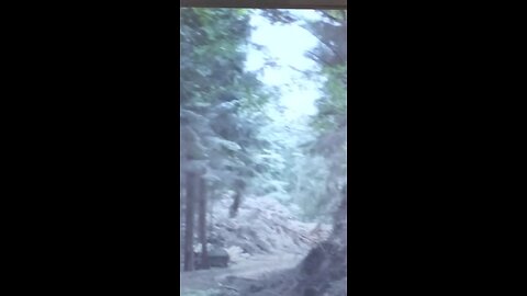 logging equipment