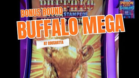 Buffalo Mega Stampede Bonus 🎰🍀🎰