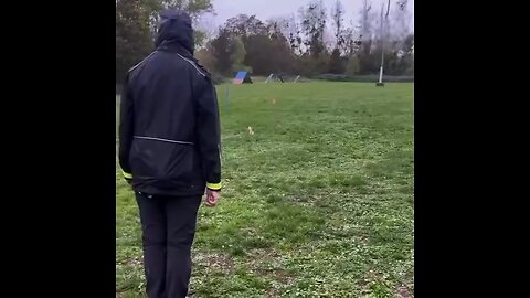 A trend for walking invisible dogs has emerged worldwide