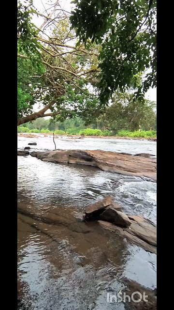 #11 AWAY FROM THE CROWDS #truth #jesus #mary #joseph #ihs #christ #church #bible #christian #saints