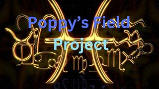 Poppy's Field Project 3/12/25