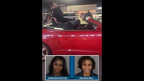 Drunk Woman Tries To Flee Arrest…Leaves In Car With Cop On Top…Cop Smashes His Head…Gets Knocked Out