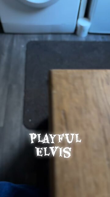 Playful Elvis