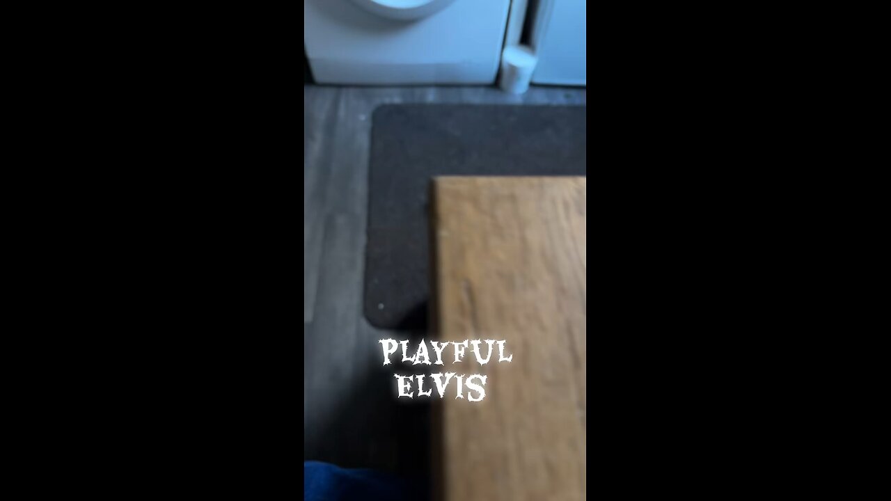 Playful Elvis