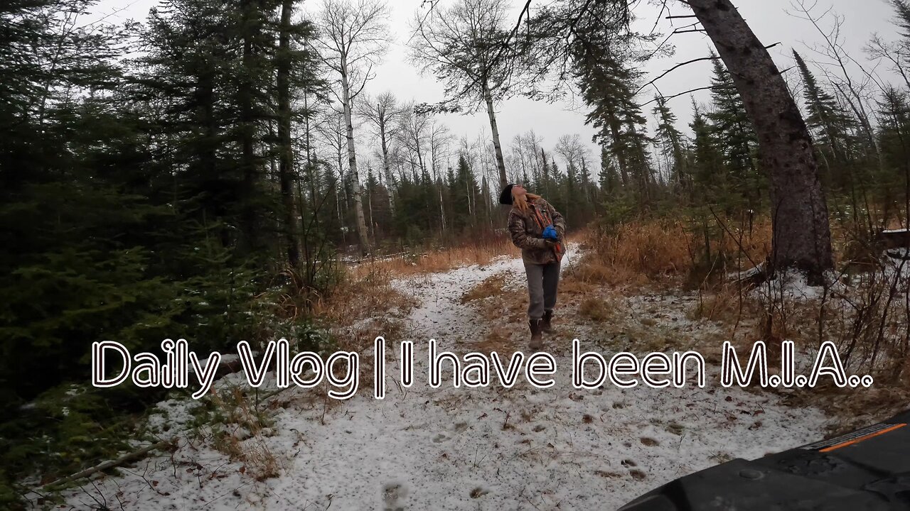 Daily Vlog | I have been M.I.A...