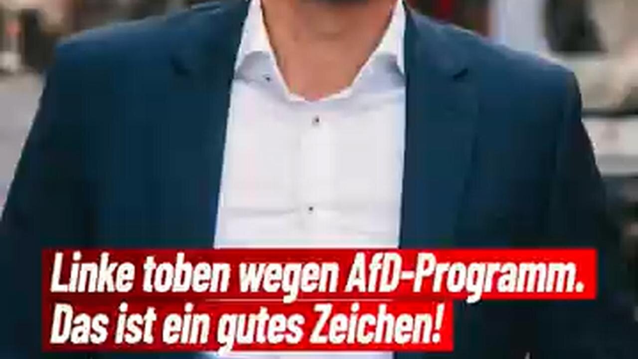 AfD-Wahlprogramm
