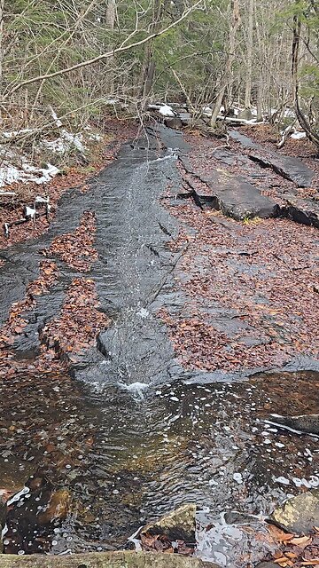 Trail to nine corner lake