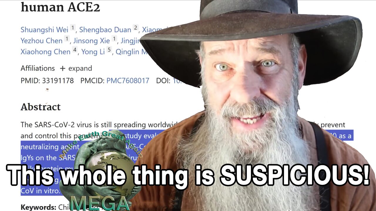 This whole thing is SUSPICIOUS!