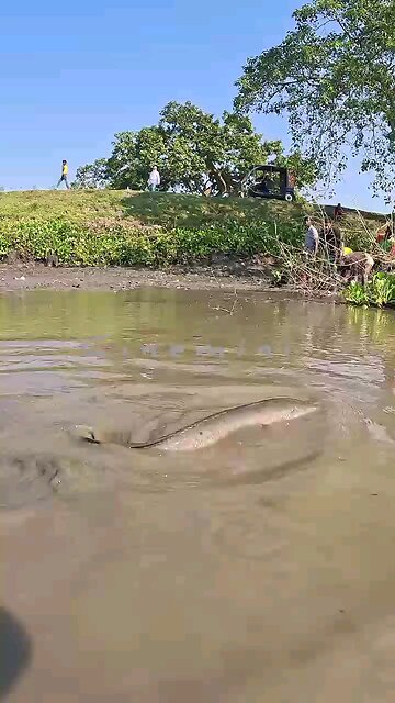 river side fishing PreciousMoments * #NaturePhotography #WildBeauty