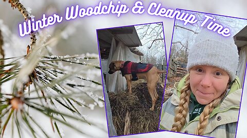 Winter Woodchip & Cleanup Time