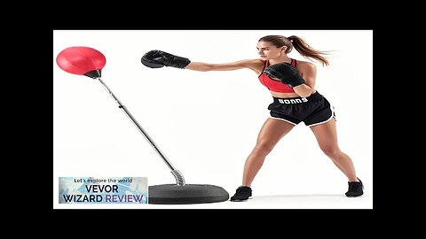 VEVOR Punching Bag Reflex Boxing Bag for Kids & Adults Height Adjustable Review