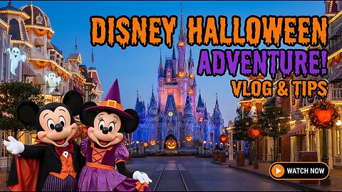 Mickey's Not So Scary Halloween Party 2025 IRL Stream