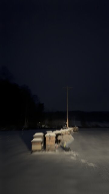 Quick drive to clear hive entrances🐝❄️