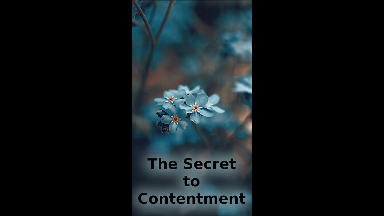 Aces 😎 379 ~ The Secret to Contentment